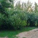 삼산체육관역 1번 출구 이미지