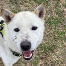 해피올동물병원 이미지