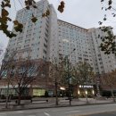 자인 행정사 이미지