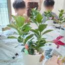 회야초등학교 이미지