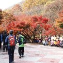 전북 강천산 국립공원 -못골삼공 산우회 이미지