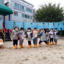 증안초교 병설유치원 이미지