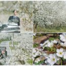 동민농장(1) 티스토리