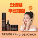 인셀덤 꿈