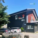 오렌지 애견카페 이미지