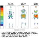 조카 선물용 아이 침대&매트리스 추천 이미지