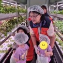 스마트팜 이미지