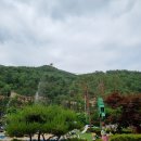 소나무전시관 화장실 이미지