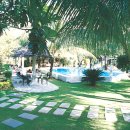 파라다이스가든 이미지