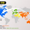 소프트라인주