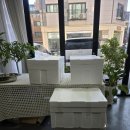 리스타트스포츠 | ✨ 하남 리스타트라인댄스 행사도시락 80인분 납품 후기