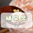 천일토굴새우젓 | 광천토굴새우젓 이야기