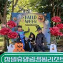 창원 휴양림 캠핑 리조트 네이버블로그