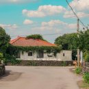 신흥2리마을 이미지