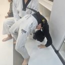 엠티에이 태권도(MTA 태권도) 이미지