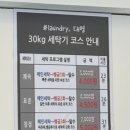 대명세탁 이미지
