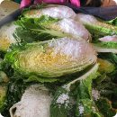 김장한 | 혼자 해남절임배추 절인배추 20kg 김장한 후기, 가격 해남배추 추천