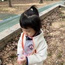 ❤️경운 공원 숲 산책(폭죽,곤충 도감 놀이)❤️ 이미지