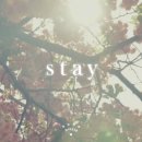 stay(스태이) 이미지