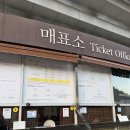 부여(백제)-04 | 충남 부여 여행지 추천 백제 문화 단지