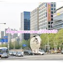 플러스텔Ⅱ 네이버블로그