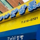 지니펫살롱 이미지