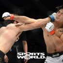 크로스펀치 이미지