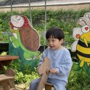 태완농장 이미지