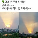 금돼지 - 울주군 | 금돼지