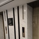 더리버사이드호텔 | 강남 어두운 웨딩홀 추천 더리버사이드호텔 콘서트홀 리뉴얼, 뷔페 후기