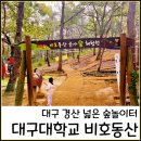 동산자연유치원 | 대구대학교 비호동산 아이랑 가볼만한곳 주말 피크닉