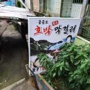 장사 갯바위 민박 | 울릉도 천부민박에서 2박3일후기...