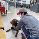 조아동물병원 이미지