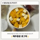 제주 중문에 요아정보다 맛있는 요거트 아이스크림 집이 있다고?! “ 로그릭 ” 솔직 후기