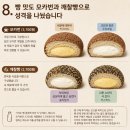 지에스(GS)25 평리동서점 | GS25 민음사 빵 품절 대란, 사랑에 대하여·오만과 편견·랜덤 책갈피 20종 총정리