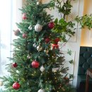 수완로R | 연어하다 광주본점 – 광주 맛집, 수완지구 맛집, 광주 연어 맛집 여기야!