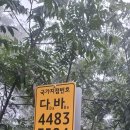 칠갑주차장 이미지