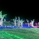 청도프로방스 불빛축제 2014.12.15 이미지