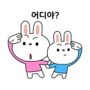 오늘은돼지 네이버블로그