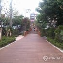 구서동 도시숲 이미지