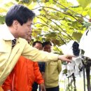 용호농장 2 이미지