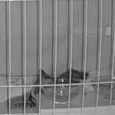 도일약국 이미지