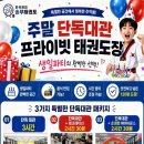 한국체대 송무 태권도장 네이버블로그