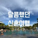르까페시크릿 | 달콤했던 신혼여행기 / 칸쿤 시크릿 임프레션 모체 후기 (칸쿤 5편)