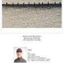 260325_서울자치신문_603호_디카시_장석영 이미지