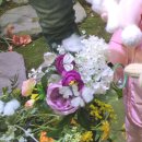 나비 게임장 이미지