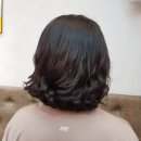 헤어살롱 조이 네이버블로그