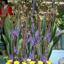 성전2호 이미지