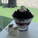 새롬동_성요한성당옆 | [미니 맛집 - 세종] 새롬동 두쫀쿠 생과일 빙수 맛집 "빙빙수"