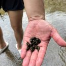 (주)오토스마일 | 경주 수영장 키즈캠핑장 산내[스마일오토캠핑장] 꽉찬 1박2일 후기